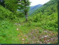DSCN0941