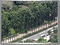 rio de janeiro 17