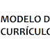 Modelo de Curriculum Vitae: Você só vai conseguir o emprego, se souberem que você está procurando.