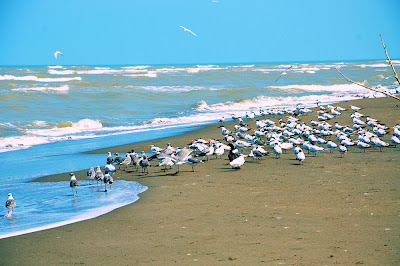 fotos de la playa en casitas y costa esmeralda veracruz