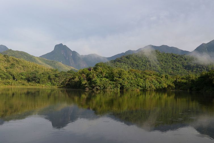 Ecoturismo - Projetos privados mantêm reservas ecológicas na Mata Atlântica