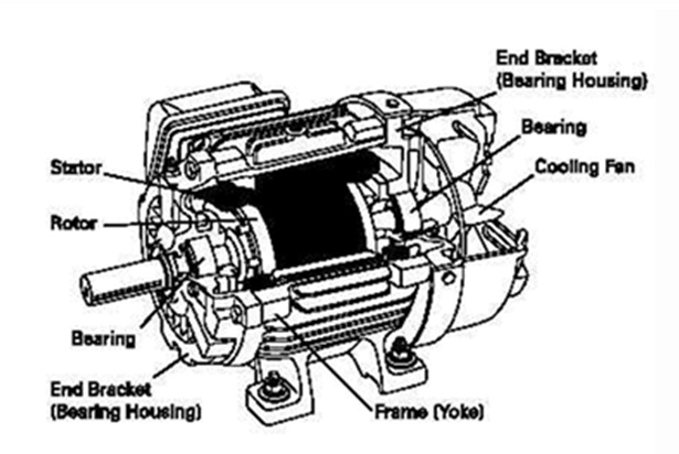 Motor Listrik 3 Fasa  Dunia Elektro