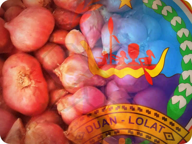 Harga Bawang Merah di Saumlaki Turun