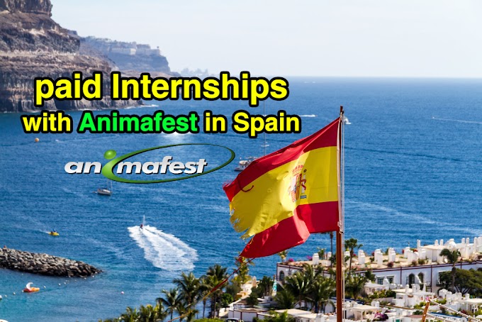 Paid Internships with ANIMAFEST in Spain with Many Advantages