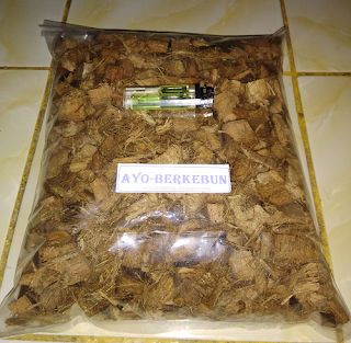 jual coco chip murah