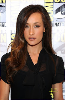 Maggie Q, Actress, Nikita