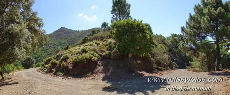 Cerro Plaza de Armas