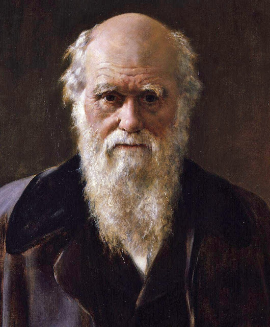 Charles Darwin Naturforscher