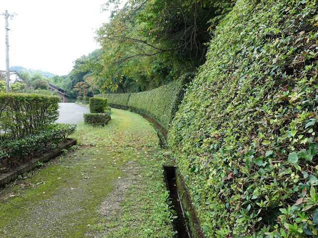 上淀廃寺跡の遊歩道