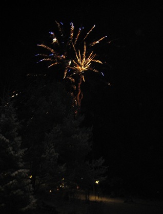 jul og nyttår 027