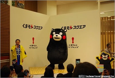 IMGP3246