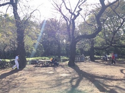 四月是你的謊言 動畫場景聖地巡禮 石神井公園