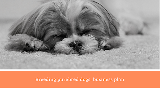 cross breeding purebred dogs, rules for breeding purebred dogs, inbreeding purebred dogs, mix breed vs purebred dogs, mixed breed vs purebred dogs health,Breeding purebred dogs