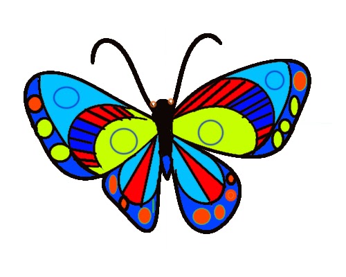 Step By Step Drawing Of Butterfly Simple Colorful Butterfly Drawing