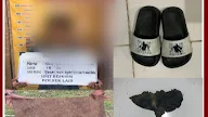 Kembali!!!, Polsek Lais bekuk Residivis Kasus Curat