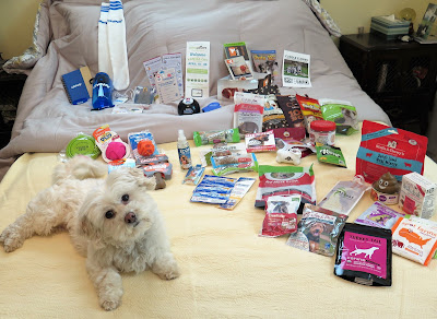 Phoebe with lots of the pet products we got at the BlogPaws pet blogging and social media conference!  Pets, Dogs, Cats, Bloggers