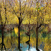 Landscape Skardu Pakistan