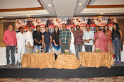 Rudramadevi movie success meet photos-thumbnail-10