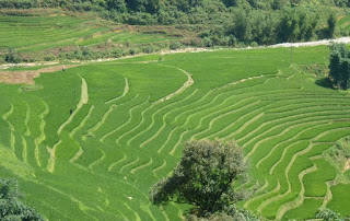 Trekking por Sapa.