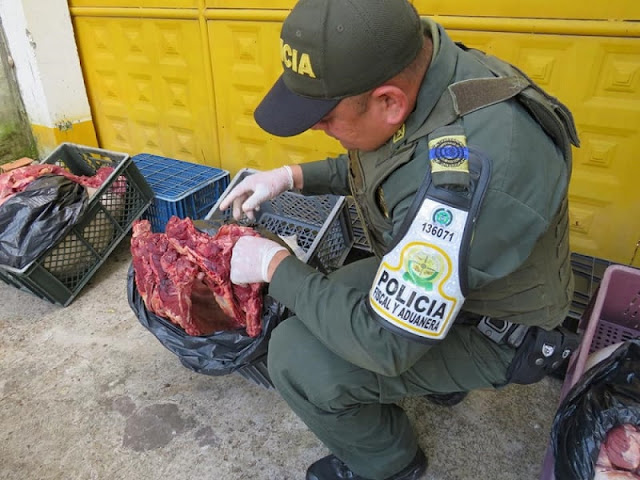 FRONTERA: Incautados 170 kilos de carne que pretendían ingresar a Arauca desde Apure-Venezuela.