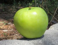 Green apple