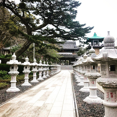 お礼参りに行ったら、新屋山神社でまたまた大吉！