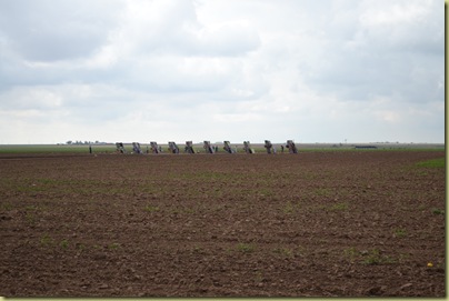 Cadillac Ranch