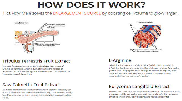 Hot Flow Male Enhancement - GuruFocus.com