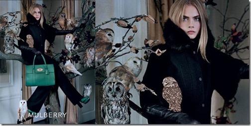 Cara-Mulberry