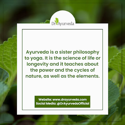 Ayurveda Herbs Benefits by Dr Ayurveda Official