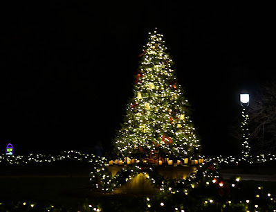 Christmas tree at Missouri Botanical Garden photo by mbgphoto