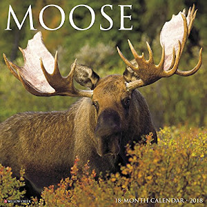 Moose 2018 Calendar