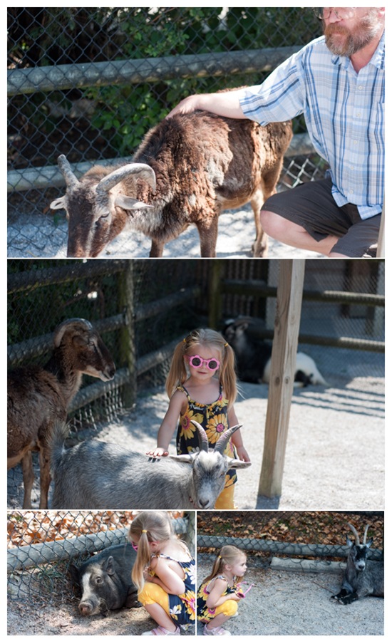 zoo_3