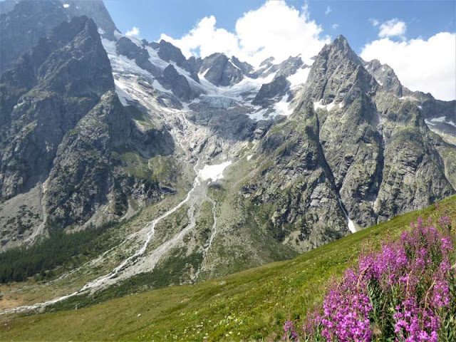 panorama sul grand jorasses