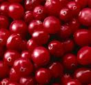 cranberries flush out fats and lose weight