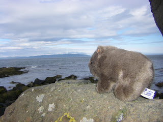 The Wombat at Portstewart