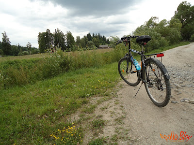 Bicicleta DHS