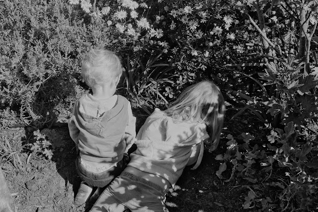 Children watching lizards.