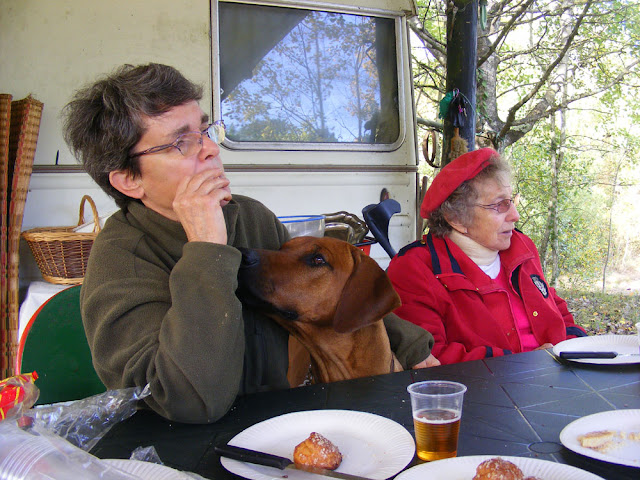 Dog pestering owner for food at the table, Indre et Loire, France. Photo by Loire Valley Time Travel.