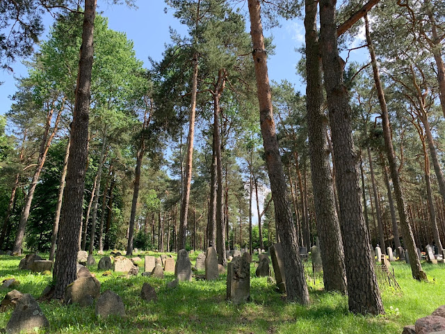 Kruszyniany czyli wioska polskich Tatarów na wschodnim krańcu Polski w województwie podlaskim. Co zobaczyć? Jakie atrakcje odwiedzić? Gdzie zjeść? Perła tatarskiej kultury na Podlasiu.