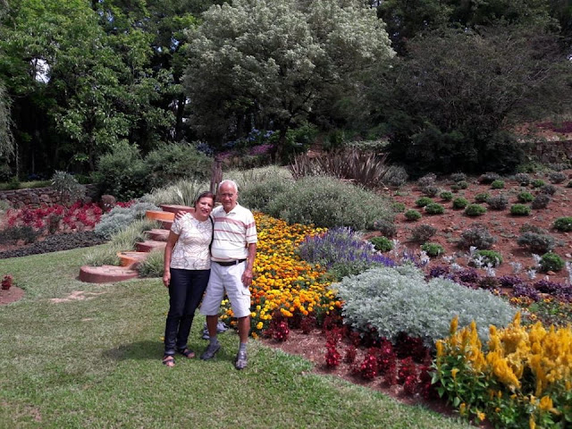 Parque de lavanda