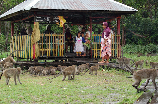 Kembang Island in Barito Kuala District