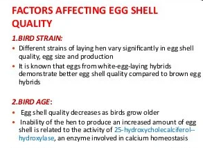 Infographics showing Factors Affecting Egg Quality