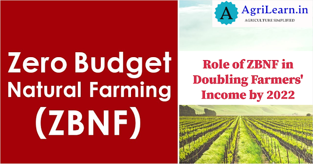 What is Zero budget natural farming (ZBNF)