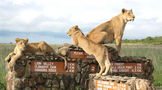http://1-day-tours-in-kenya.com