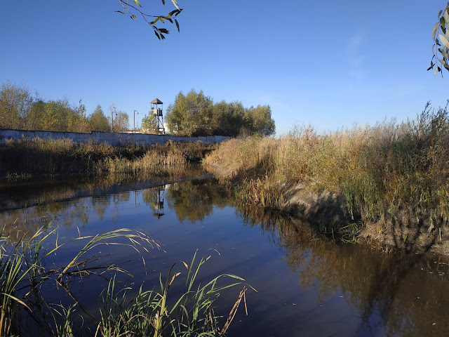 Кіностудія Вікторія