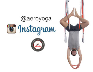 yoga, aeroyoga, yoga alliance, yoga teacher, profesor, enseignant, cursos, formacion, acreditacion, diploma, fly, flying, teacher training, body, maestros