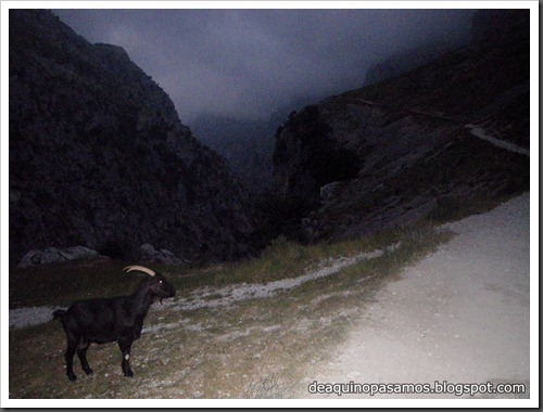 Poncebos-Canal de Trea-Jultayu 1940m-Lagos de Covadonga (Picos de Europa) 5083