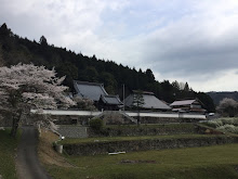 自分の写真