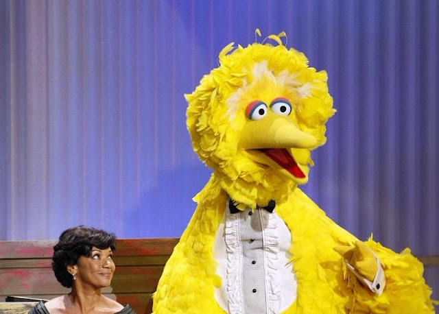 Sassy Big Bird Costume